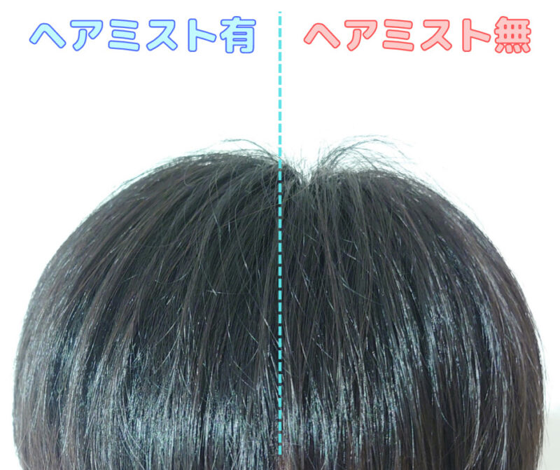 ヘアミスト有無比較