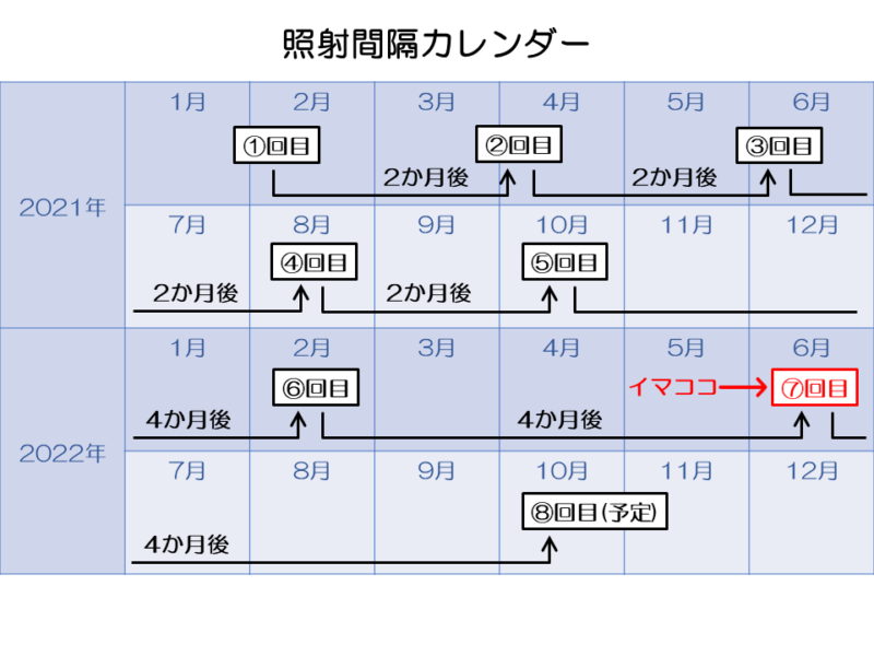 照射間隔カレンダー